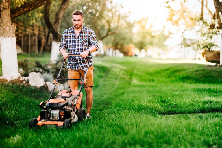 When to Cut New Grass: What to Know Before Your First Mow