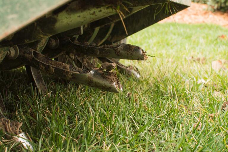 When is the Best Time to Aerate Your Lawn?