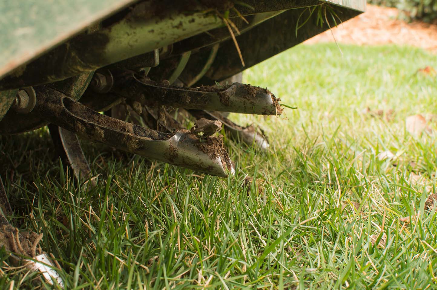 Best Time to Aerate Your Lawn