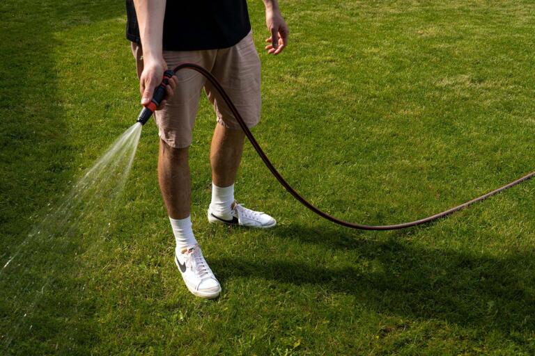 Summer Lawn Watering: Best Time to Water Grass in Hot Weather