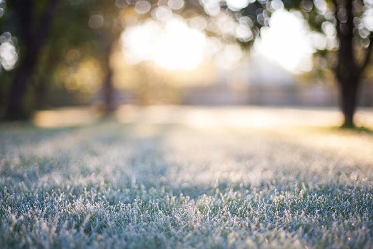 How to Winterize Your Lawn in 10 Easy-To-Do Steps