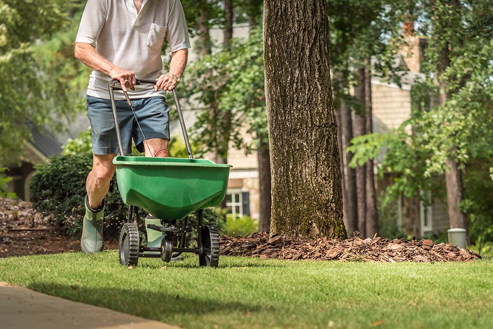 How to choose the right lawn fertilizer