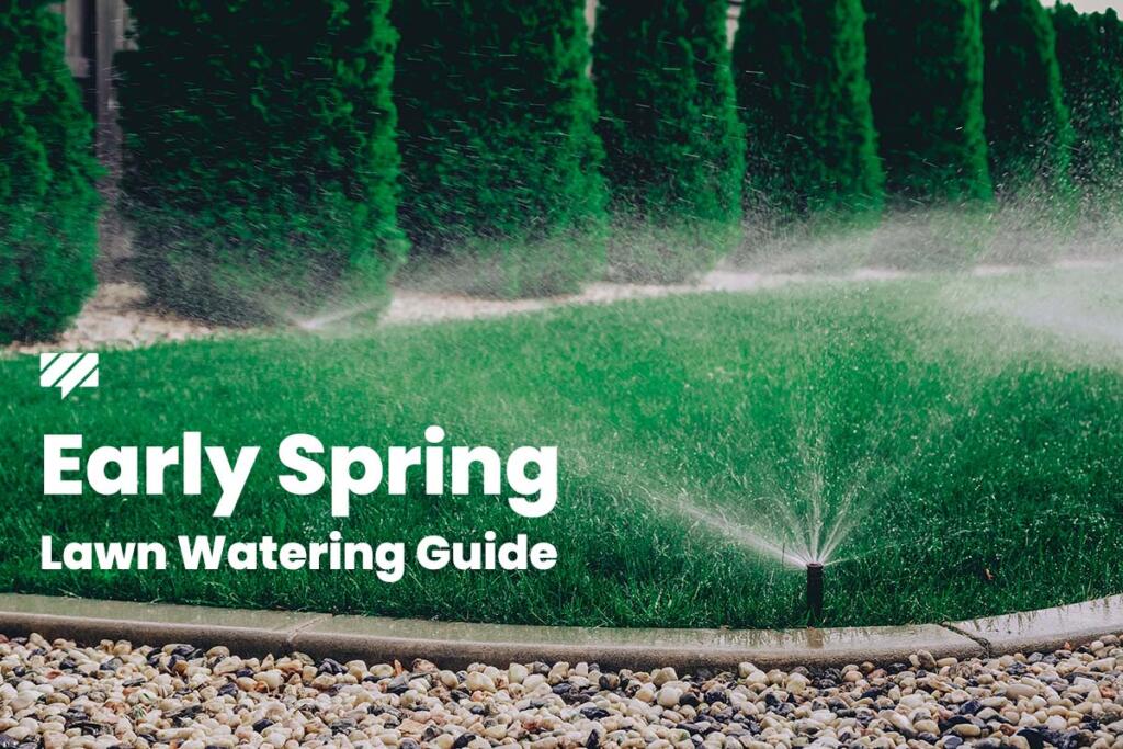 When should you start watering your lawn in the spring?