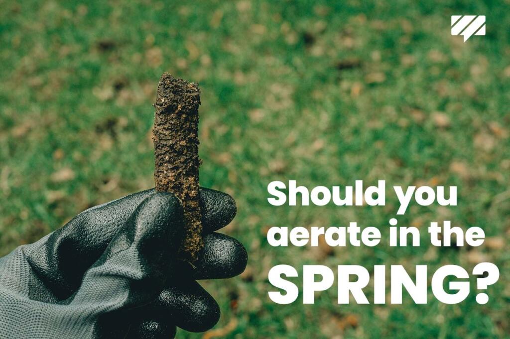 Should you aerate your lawn in the spring?