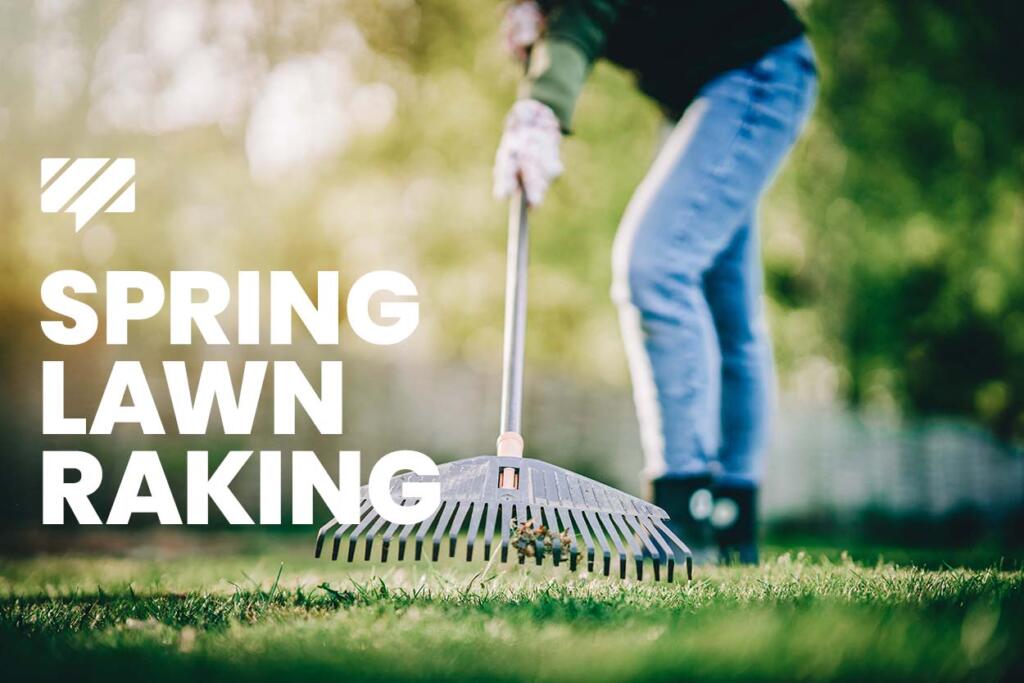 Should you rake your lawn in the spring?