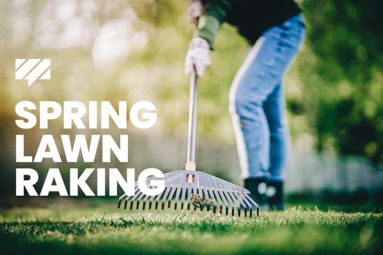 Should You Rake Your Lawn in the Spring?