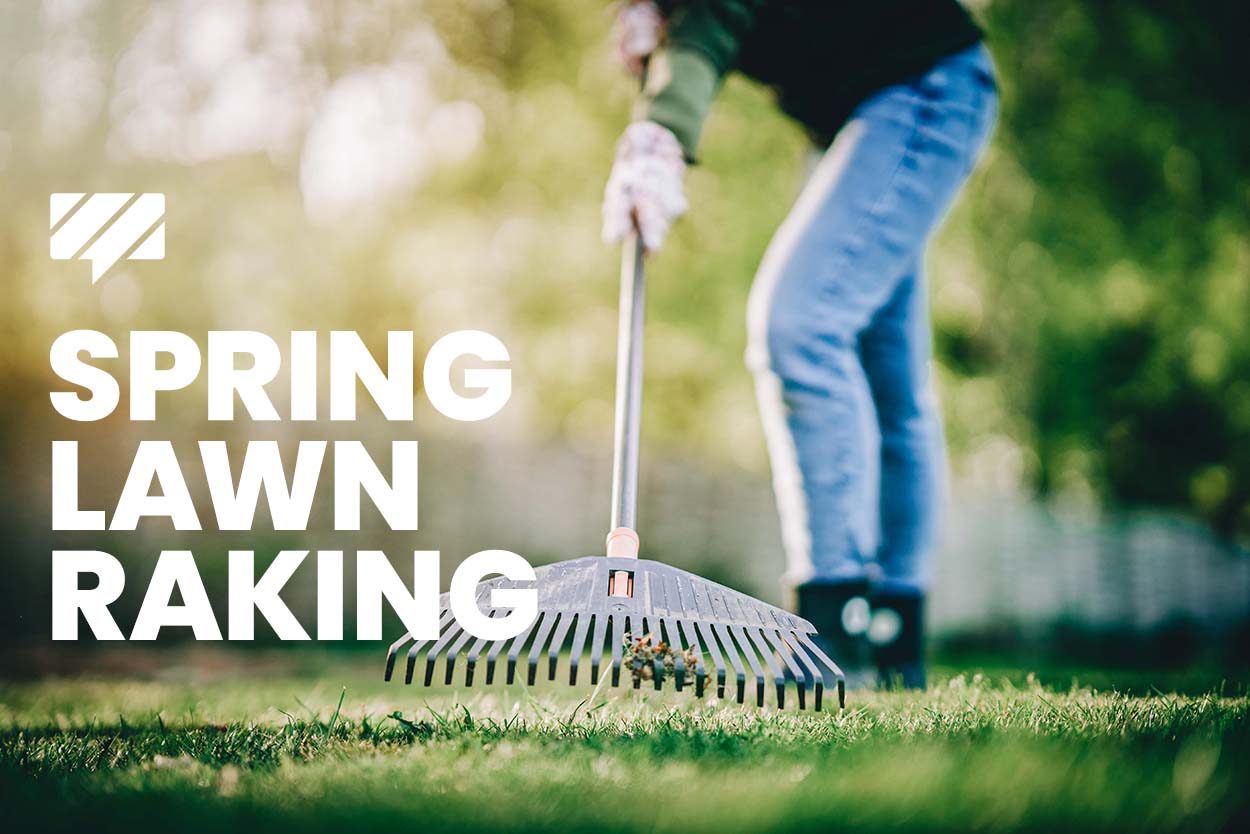 Should you rake your lawn in the spring?