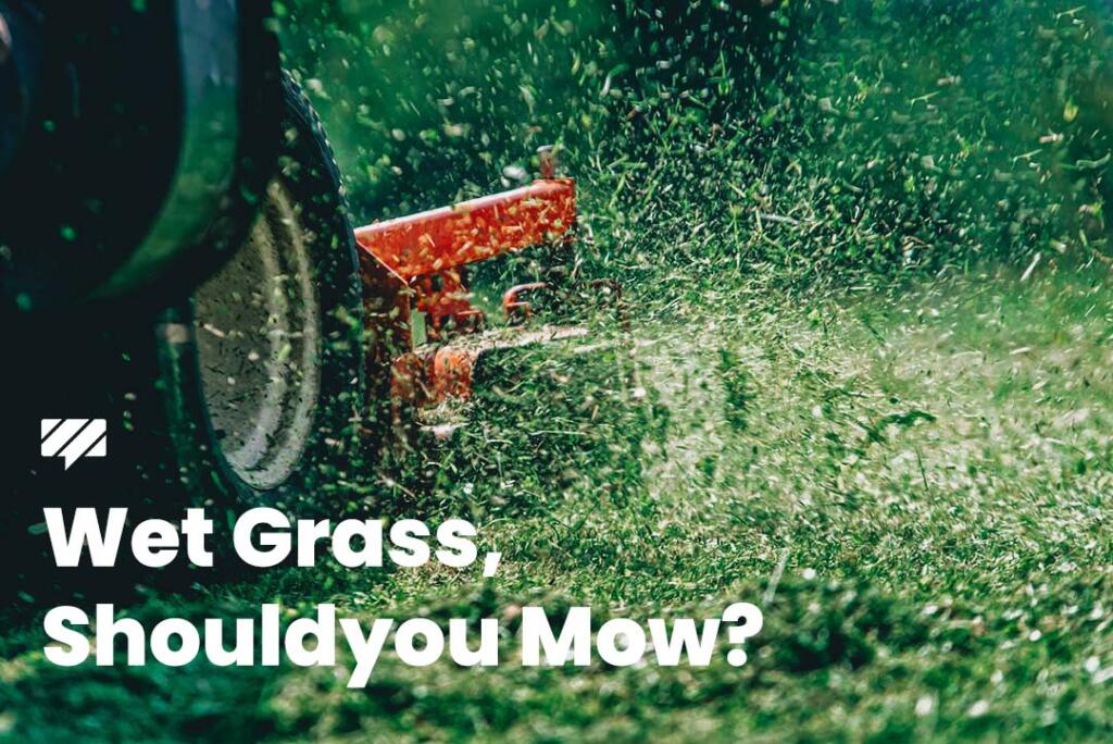 How to mow wet grass