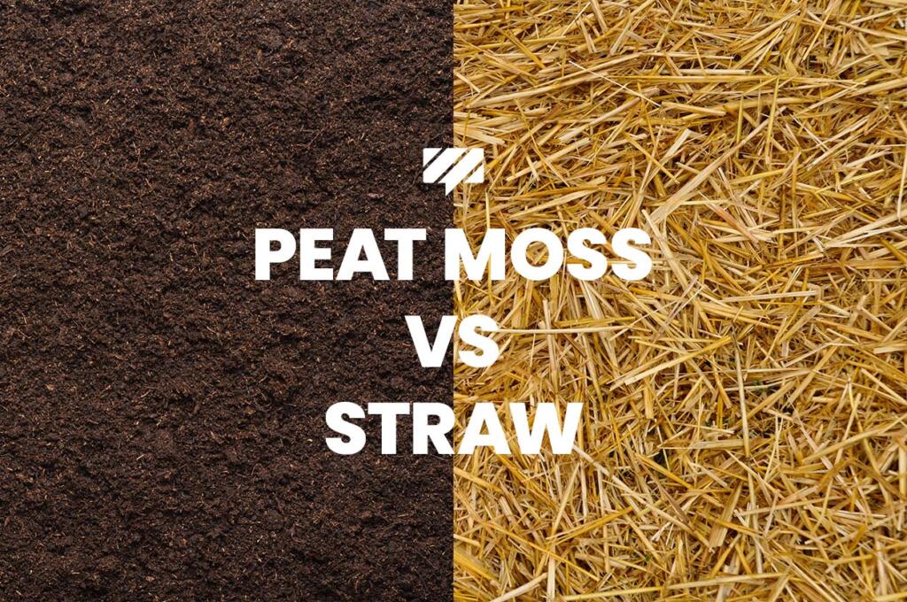 Peat Moss vs Straw