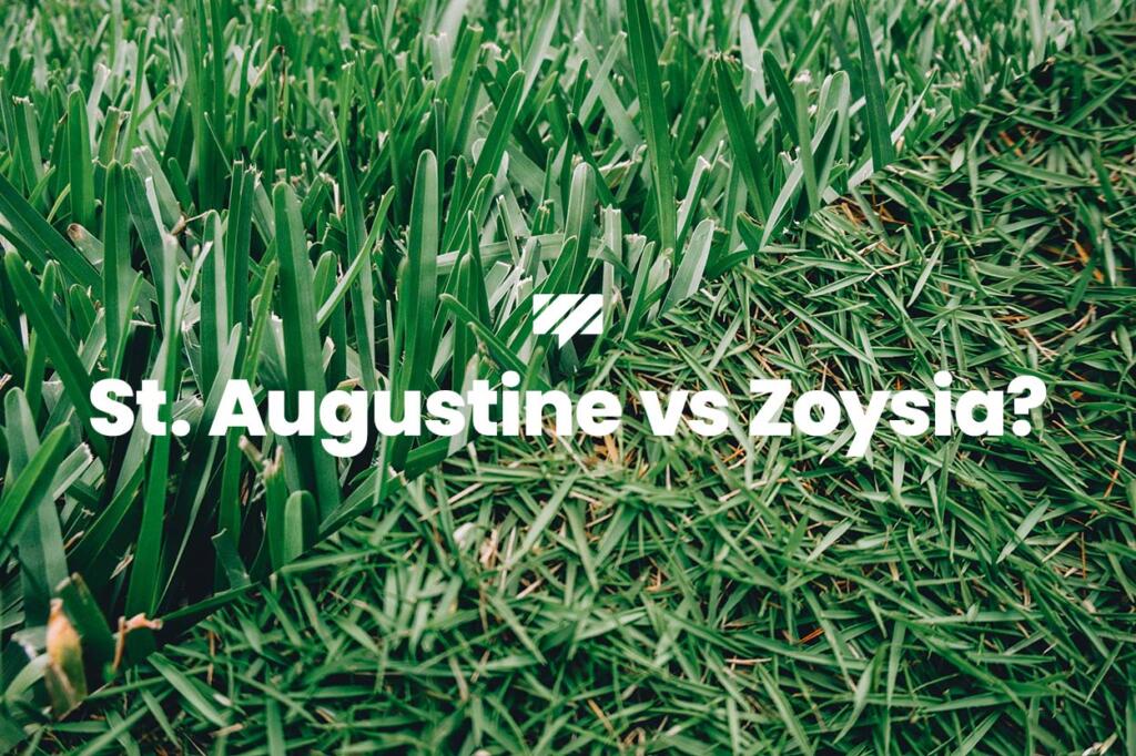 St. Augustine vs Zoysia Grass