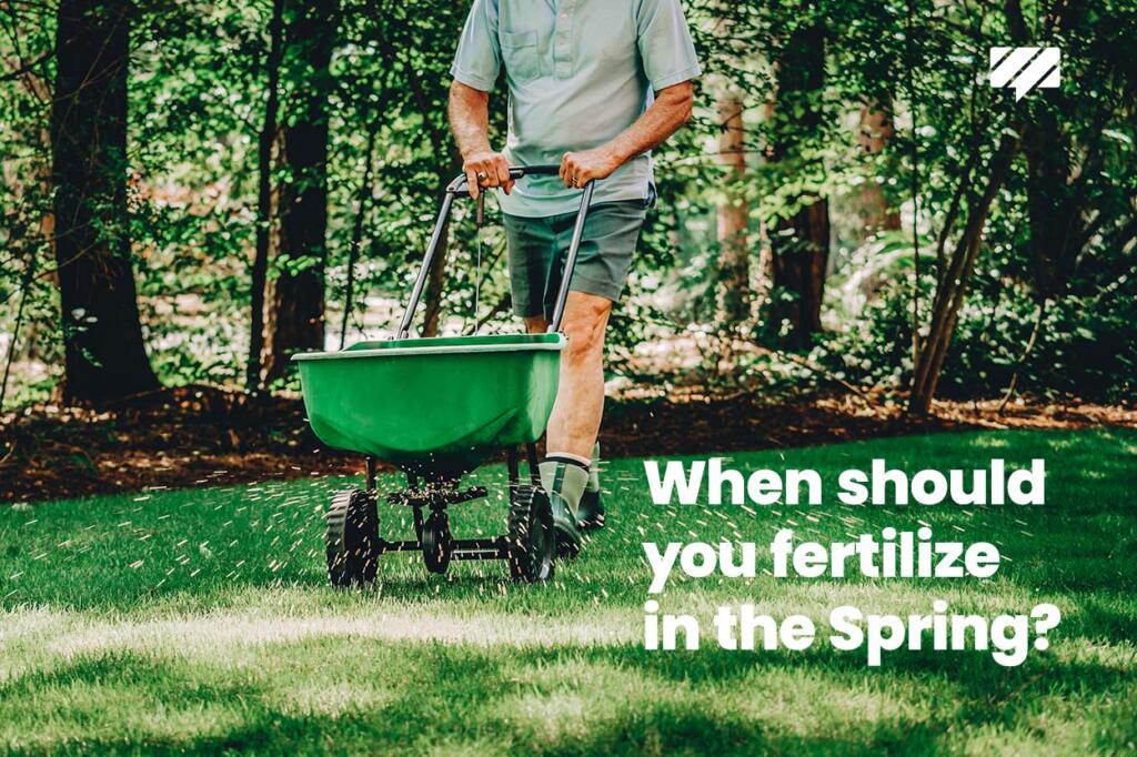 when should you fertilize your lawn in the spring?