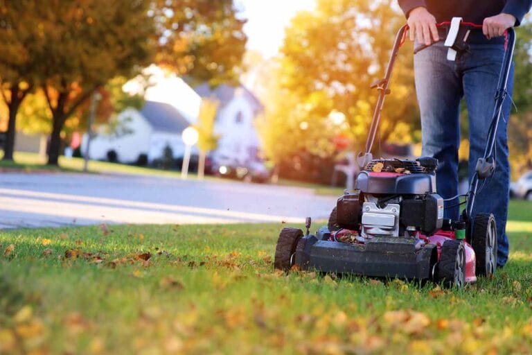 When is it Too Cold to Cut Grass?