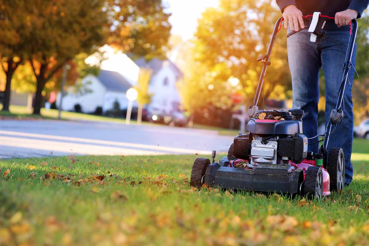 when is it too cold to cut grass in your lawn?